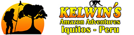 Kelwin's Amazon Adventures, Iquitos - Pero